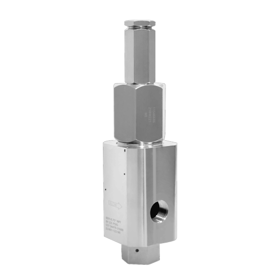Anderson Greenwood Type 84 Pressure Safety Valve